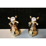 Pair Victorian Globe Taps